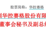 自己算命华控赛格董事长、董秘、副总经理三高管同日辞职