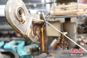 自己算命小蚕虫变身“产业龙”，广西这座小城如何实现“破茧重生”？