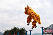 自己算命（文化中国行）壮乡狮舞闯南洋：脚踏“云桩” 饮誉海内外